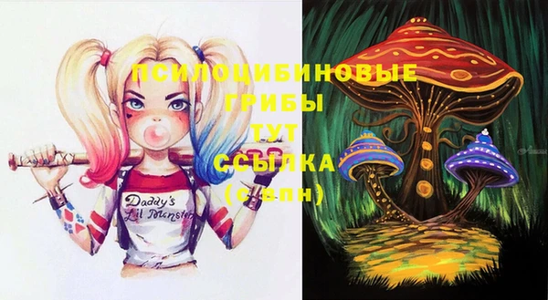 таблы Покровск