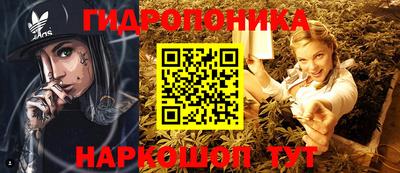 крисы Абакан