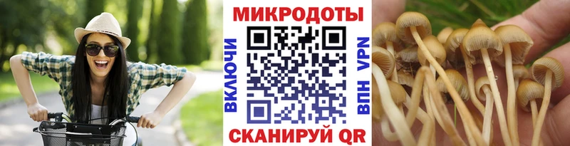 Галлюциногенные грибы Psilocybine cubensis  купить наркоту  Бугуруслан 
