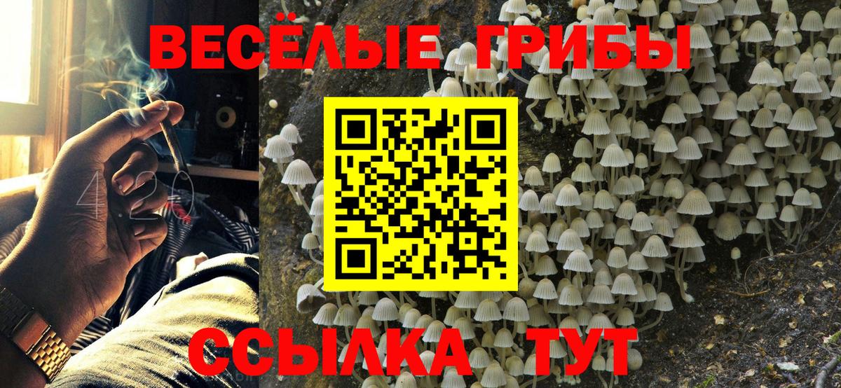 Галлюциногенные грибы MAGIC MUSHROOMS  Бугуруслан 